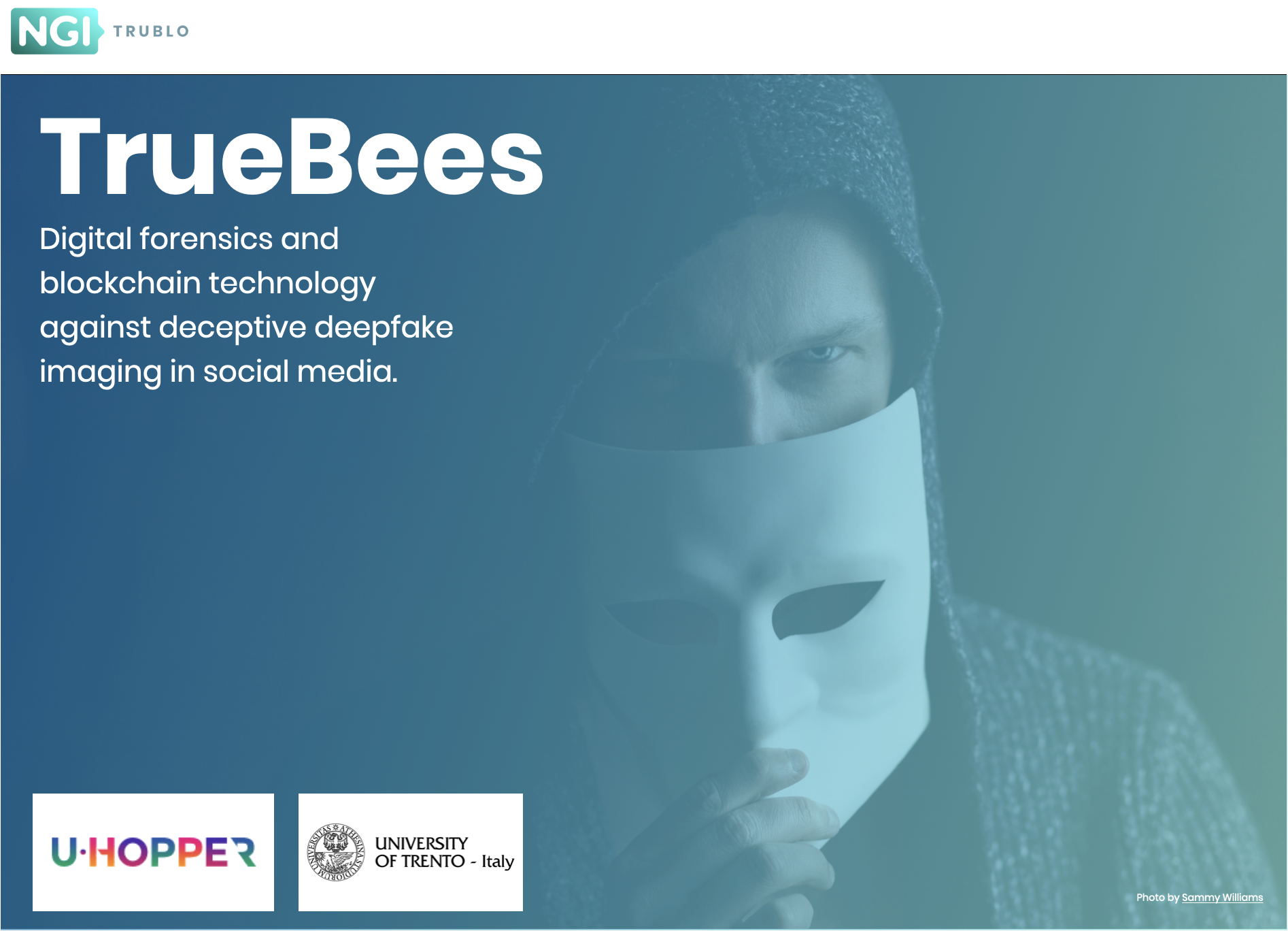 TrueBees Project Visual